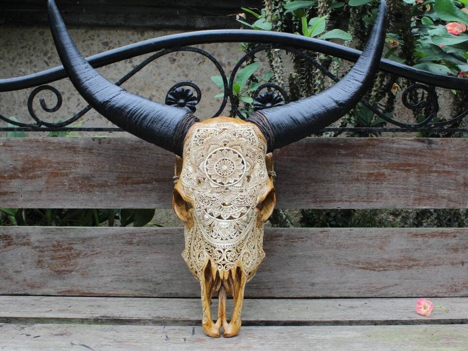 手彫りの牛の頭蓋骨と水牛の角：茶色のアンティークな壁掛け - Etsy 日本