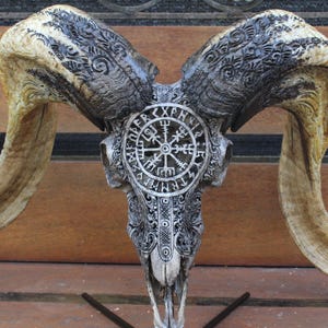 BIG RAM skull carving with beautiful horn - carved HUGE ram skull with horn carving.