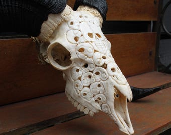 手彫りの雄羊の頭蓋骨の装飾：角のある本物の羊の頭蓋骨 - Etsy 日本