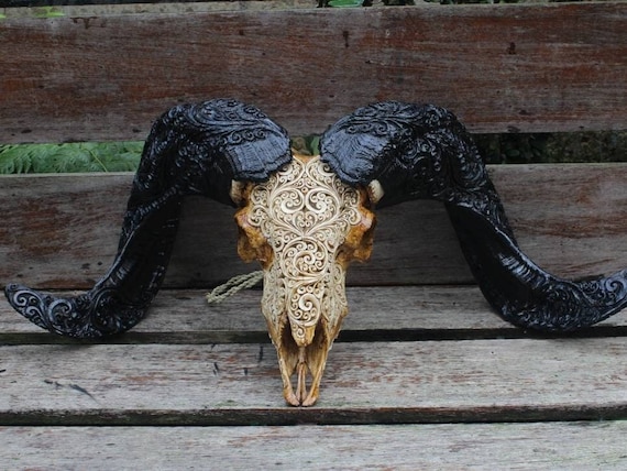 Hand Carved Ram Skull Decor: Real Horn Carving