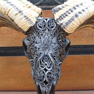 CARVED Ram skull - REAL hand carved ram skull decor, ram skull carving with horn.