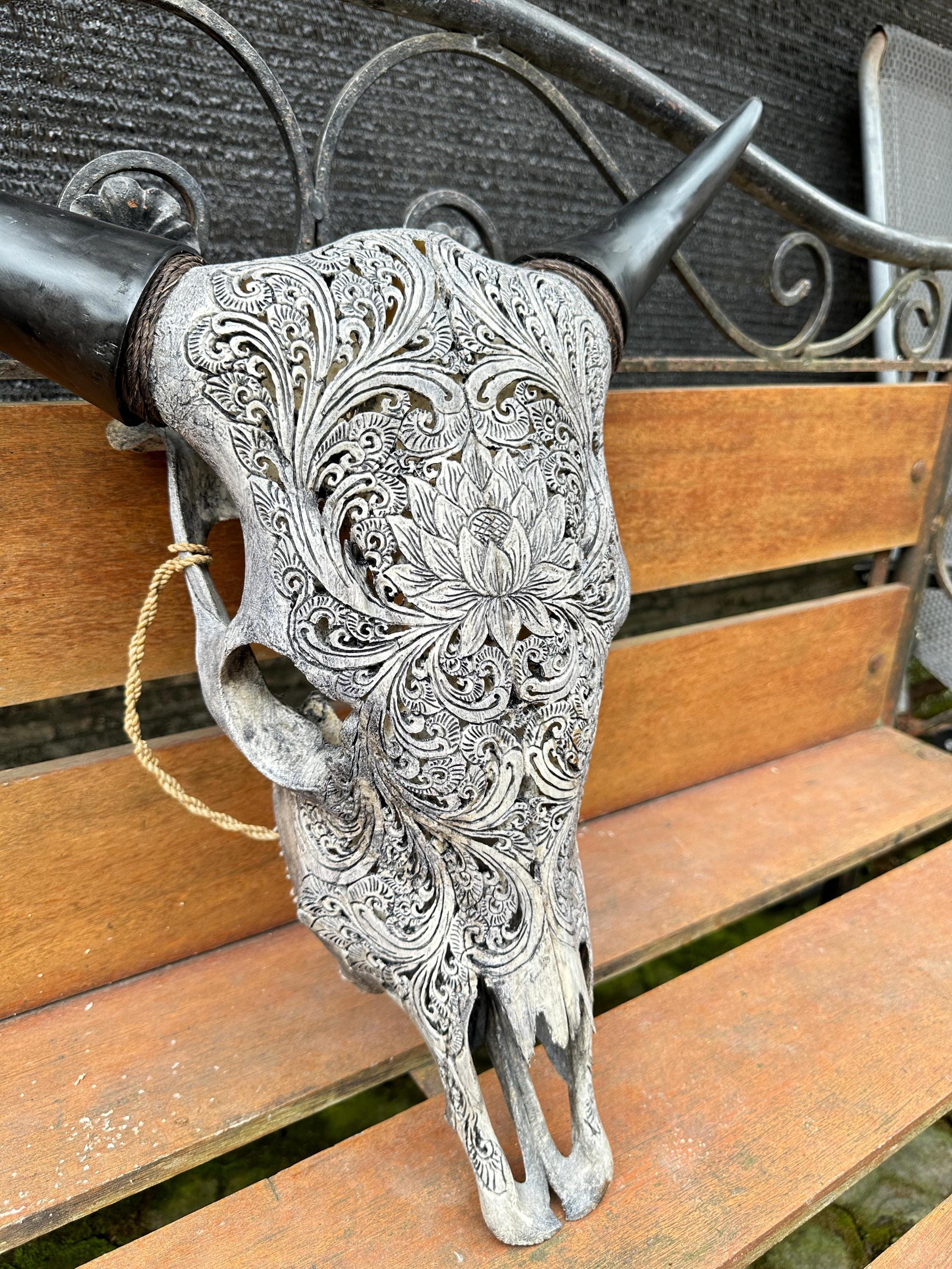 手彫りの牛の頭蓋骨と水牛の角：壁飾り - Etsy 日本