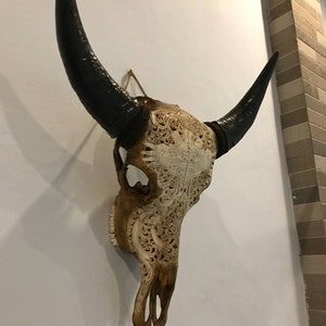 Carved buffalo bone skull carving motif.