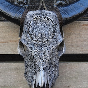 Carve cow skull with black horn - real hand carved cow skull combination with buffalo horn.