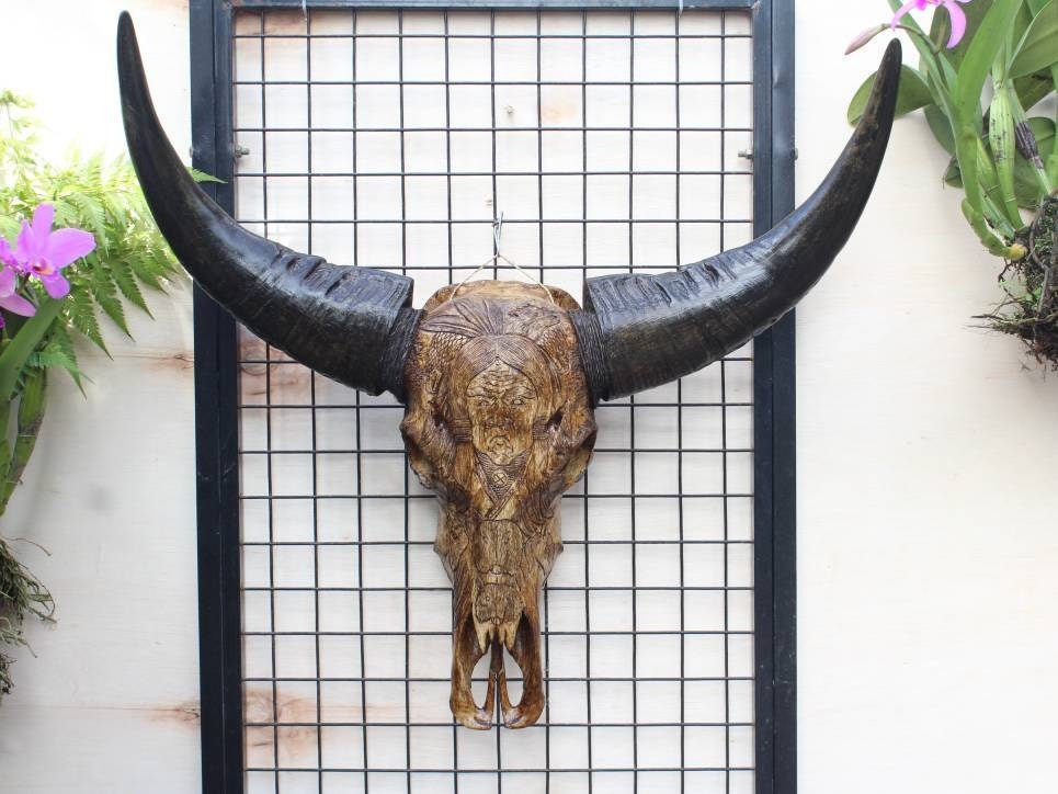 Sculpture De Crâne buffle