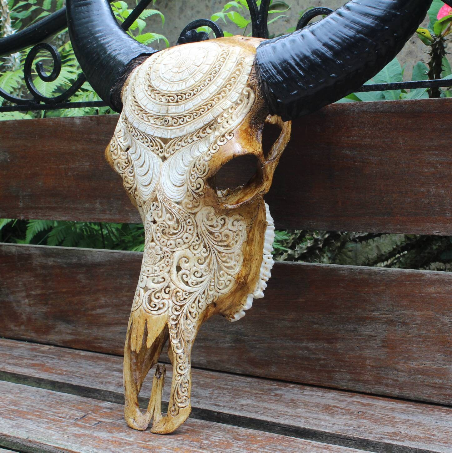 バッファロースカル　牛頭蓋骨　壁掛け彫像　カウボーイ　アメカジ　本物 角付き手彫りバッファロースカル壁装飾 - Etsy 日本