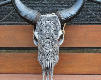 牛の角　彫り物 Amazon.co.jp: Skull Bliss - 手彫りの本物の剥製牛/雄牛の