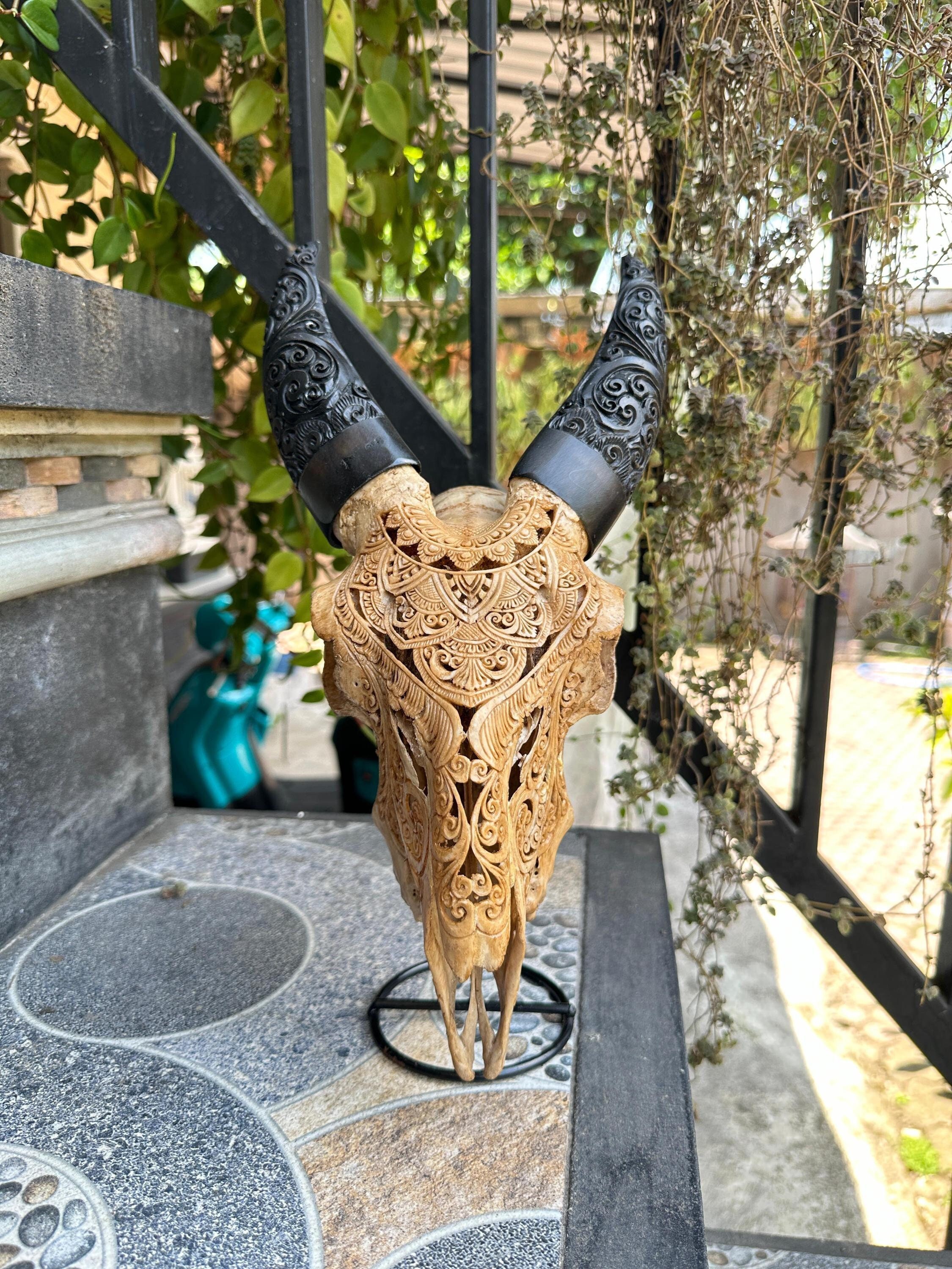 Goat skull carving - ORIGINAL carved goat skull with horn carving