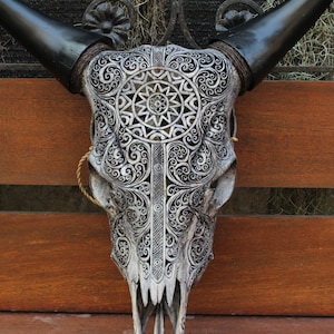 COW skull carving - REAL hand carved cow skull wall decor, cow skull wall hanging.