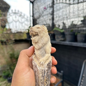 以下が含まれることがあります： 開いた口と鋭い歯を持つライオンの頭の細かな彫刻は、骨で作られており、自然な鹿の角の台座に載せられています