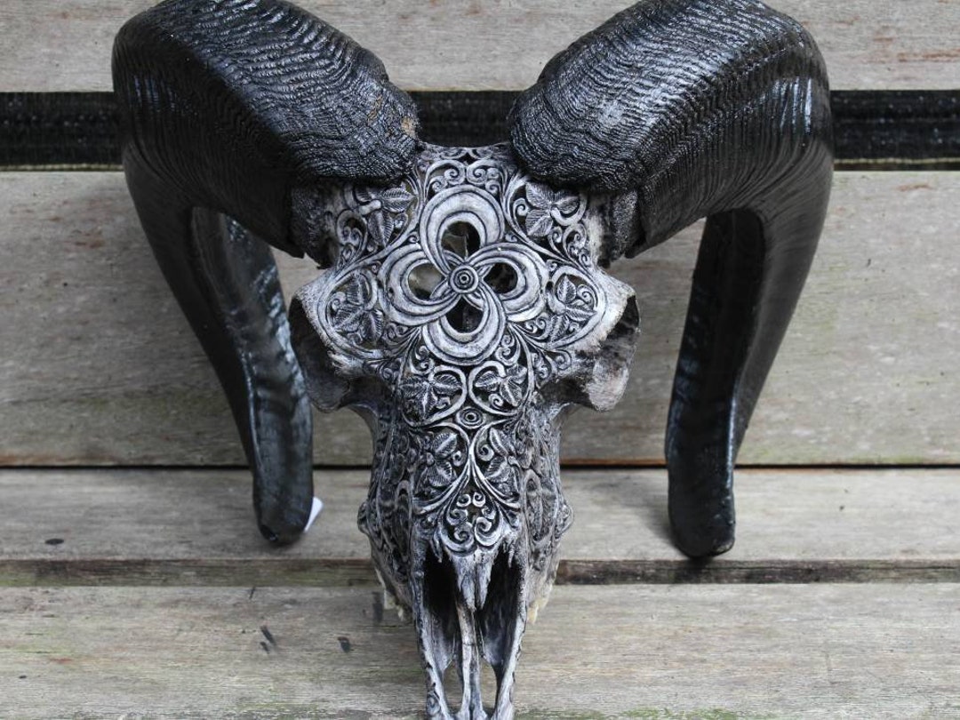 Carved Ram Skull Real Hand Carved Ram Skull Gray Color. - Etsy