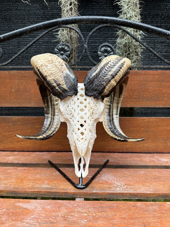 Hand Carved Ram Skull: Floral Motif, Natural Bone Decor - Etsy