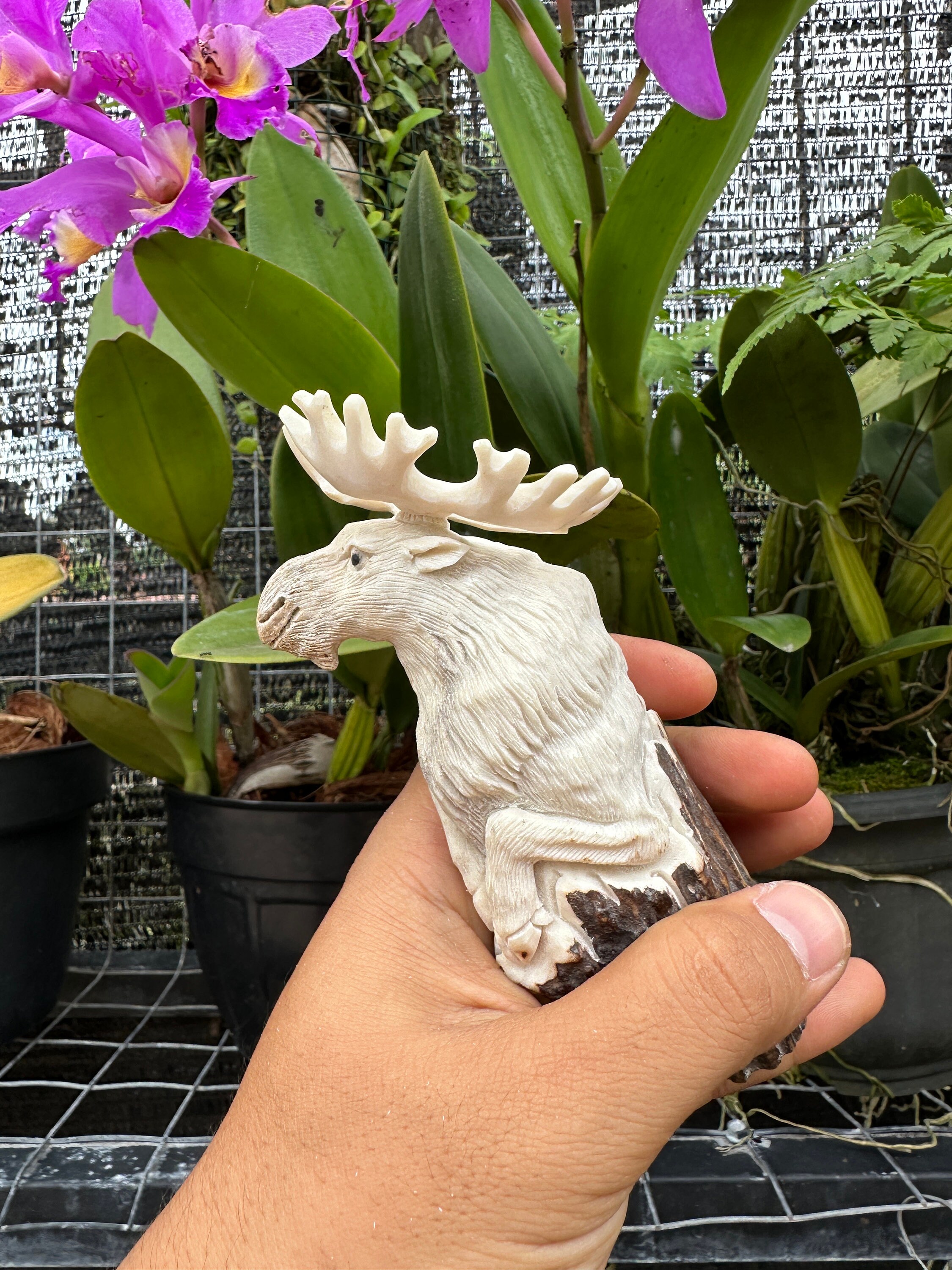 角の彫刻 - ナイフの柄用に彫刻された鹿の角。 - Etsy 日本