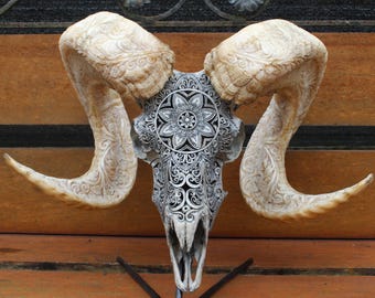 ヤギの頭蓋骨を彫る - Etsy 日本