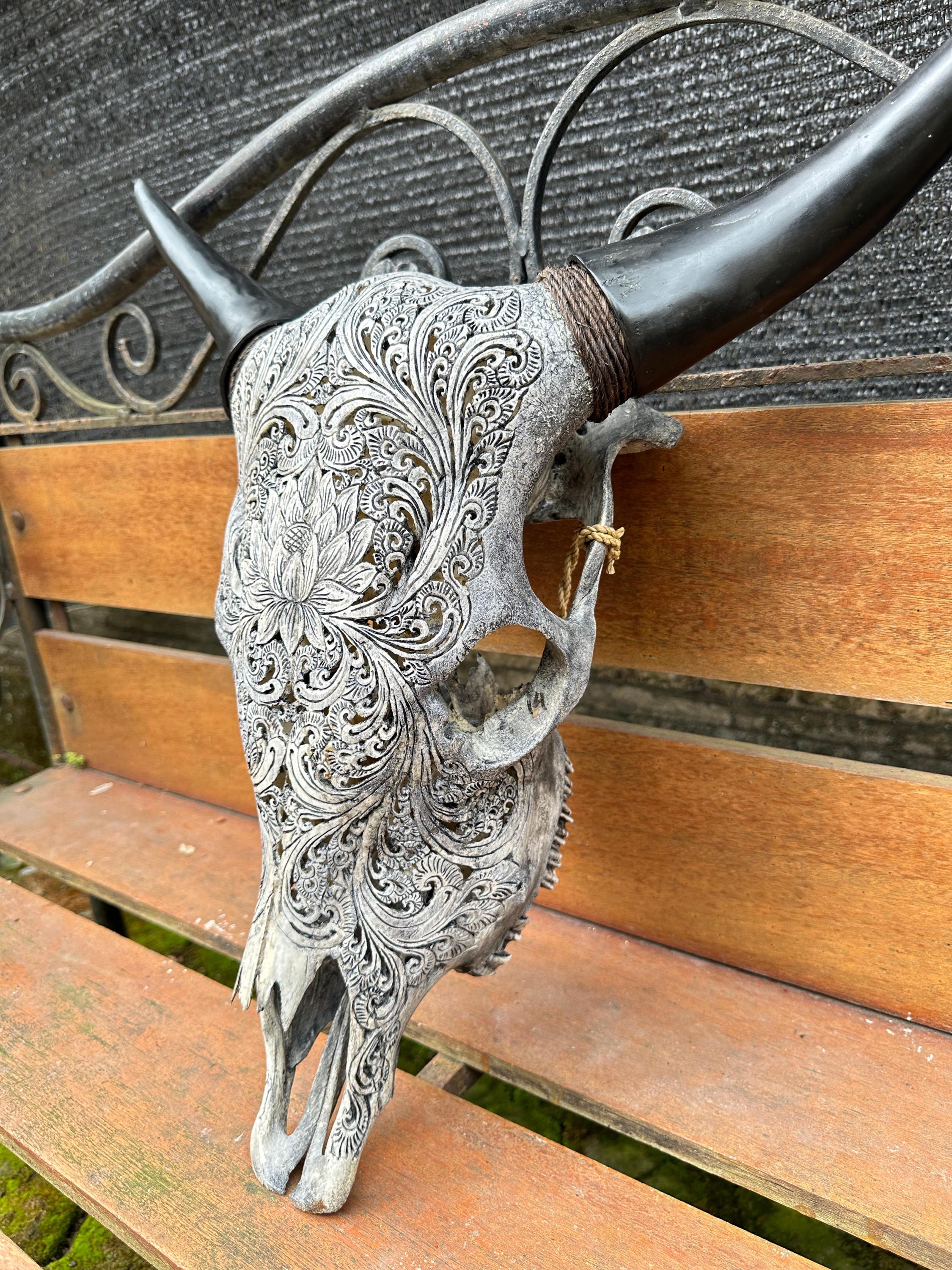 手彫りの牛の頭蓋骨と水牛の角：壁飾り - Etsy 日本