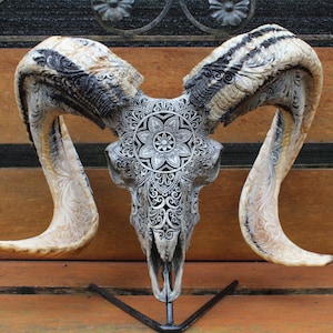 May include: A white ram skull with intricate black and white carvings, including a mandala design on the forehead. The skull is mounted on a black metal stand.