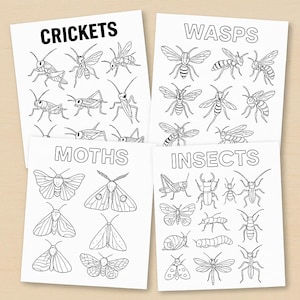 Può includere: Quattro fogli di carta bianca con illustrazioni di insetti. I fogli sono etichettati "CRICKETS", "WASPS", "MOTHS" e "INSECTS". Ogni foglio presenta disegni a tratteggio in bianco e nero dettagliati di vari insetti, tra cui cavallette, vespe, falene e altri insetti.
