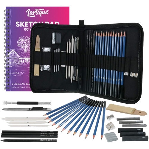 52 Piece Professional Drawing Set with 2 x 50 Page Drawing Pad, Art  Supplies, Graphite Drawing Pencils and Sketch Set, Artist Sketching Tools  in Tin Box Includes Charcoals,Pastels and Sharpener