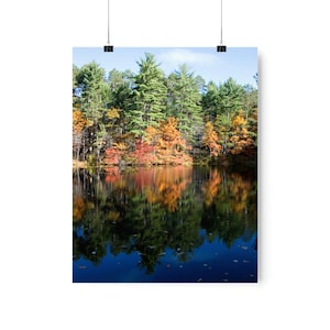 Premium Matte Vertical Posters