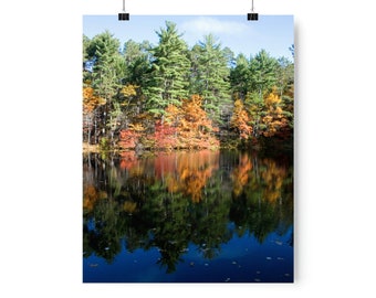 Premium Matte Vertical Posters