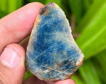 Saphir Bleu Naturel Brut 186,05 Carats - Cristal Facetté, Origine Inde, Qualité Collector