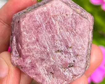 Raw Ruby Crystal: Sacred Geometry Hexagon, 915.5 Carat Record Keeper