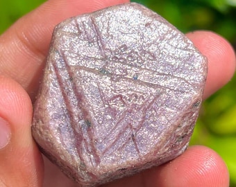 Raw Ruby Crystal: Sacred Geometry Record Keeper, 330.25 Carat
