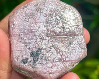 Roher Rubinkristall - 629.50 Karat Heiliger Geometrie-Rekordhalter