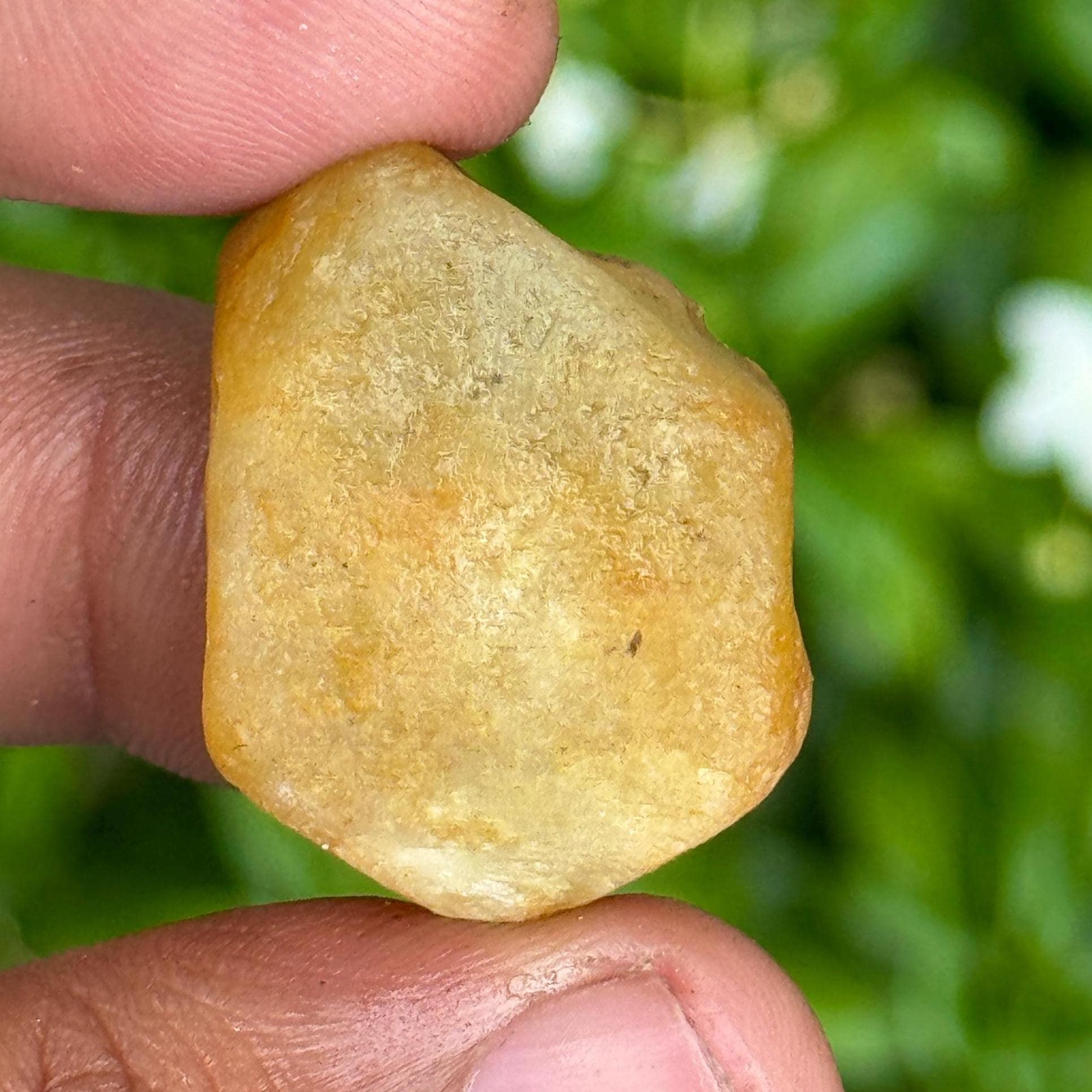 Record Keeper Yellow Sapphire Rough Crystal Yellow Sapphire Raw