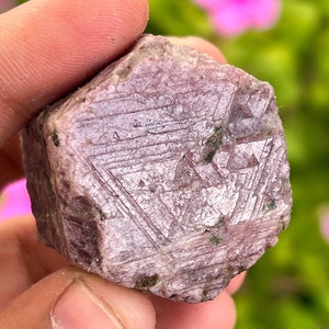 May include: A rough, pink ruby crystal with a hexagonal shape and a striated surface. The crystal has a natural, unpolished appearance.