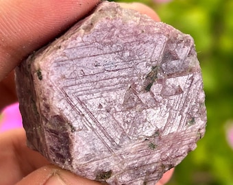 Roher Rubinkristall - 492.15 Karat Triangle Formation Rekordhalter