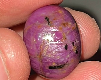 Natural Red Ruby Star Cabochon: 23.80 Carat Oval Gemstone