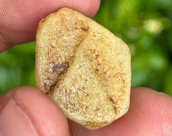 Record Keeper Yellow Sapphire Rough Crystal Yellow Sapphire Raw 27.5 Carat Natural Untreated Sapphire Specimen Birthstone Gemstone