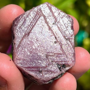 Op de afbeelding: Een gefacetteerde, ruwe robijn edelsteen met een zeshoekige vorm. De robijn heeft een dieproze kleur met zichtbare interne structuren en een glinsterend oppervlak. De randen zijn donker. De steen wordt in een hand gehouden.