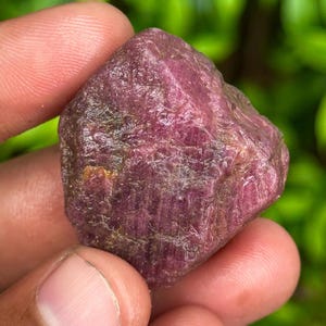 Peut inclure: Une pierre précieuse de rubis brute et non taillée, d'une teinte rouge-violet profond. La pierre naturelle a une surface texturée et une forme irrégulière, mettant en valeur son état brut et non poli. Le fond est vert flou.