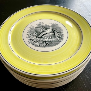 May include: A stack of yellow ceramic plates with a black and white bird and floral design in the center. The plates have a yellow rim with a thin black and blue border. The plates are stacked on a dark surface.