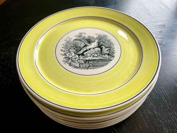 Villeroy & Boch~India~ Plate # 4 and Plate #6 Available- 9 inch Luncheon~ Made in Germany~Excellent Condition~Discontinued