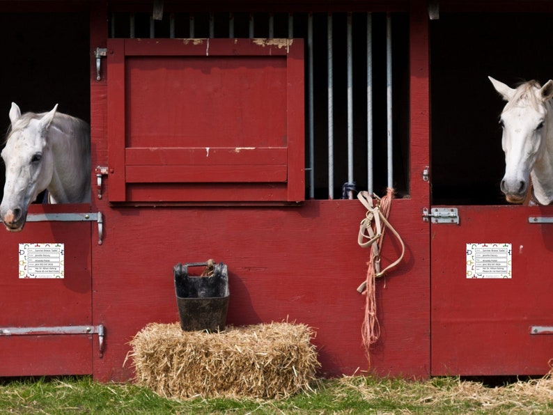 Horse Stall Card Digital Download Print Clinics Shows Emergencies
