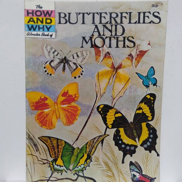 1975 1971 Butterflies and Moths, How and Why book with text & pictures for journals