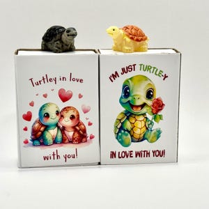 Niedliches kleines Schildkrötengeschenk, für meine besondere Person, Schildkröte, um zu sagen, dass ich dich liebe, Schildkröten lieben dich, Schildkröten in der Liebe mit dir, Streichholzschachtelgeschenk für Liebe
