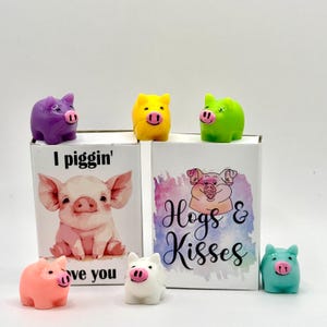 Niedliches Schwein Geschenk, klein ich liebe dich, lustiges kleines Streichholzschachtel Geschenk, Schweine und Küsse, anonymes Briefkastengeschenk, dummes Liebesgeschenk