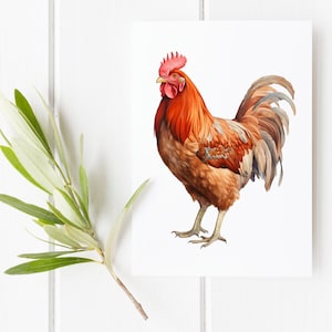 Carte de voeux coq, impression d'art animaux de la ferme, illustration colorée de poulet, papeterie de style campagnard, carte oiseau audacieuse, poulet d'anniversaire