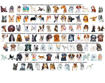 Purebred dog Stickers for Dog Lovers & Dog Show and Sport Fanciers, Choose Your Favorite Breed Design, by Artist Ivy Fox Illustration