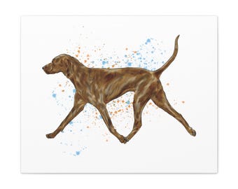 Brindle plott hound gaiting movement well bred wall art akc breeds canvas watercolor background