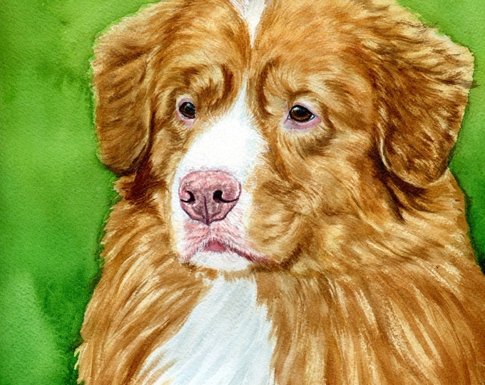 Ivy Fox Nova Scotia Duck Tolling Retriever art, Original Art Painting signed Toller Dog watercolor