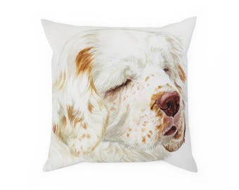 Pillows / throws