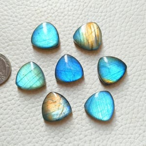 High AAA+ Multi Blue Flash Labradorite Lot Trillion Shape Cabochon MM Sizes Lot High Polished Loose Gemstone For Wire Wrap Jewelty & Pendant