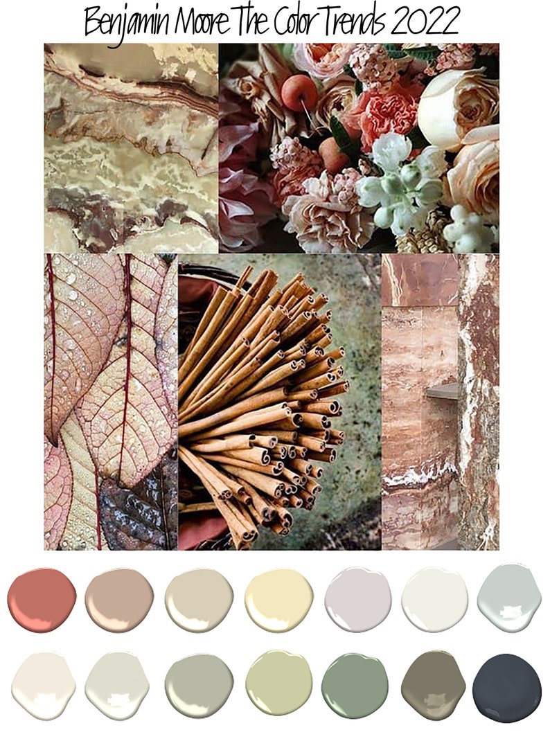 Paint Color Palette Interior Paint Color Scheme Home Color Palette Including Accent Colors