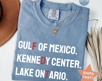 FDT Lake Ontario, Kennedy Center Shirt, Comfort Colors® Anti-Trump Pro-Democracy Tee