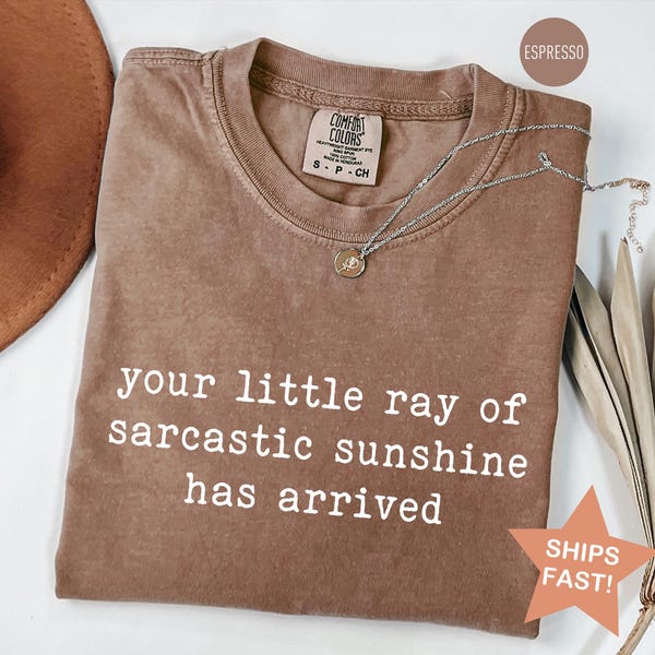 Comfort Colors®  Your Little Ray of Sarcastic Sunshine Has Arrived Shirt, Funny Sarcastic T-Shirt, Humor tee, Trendy Women's Gift